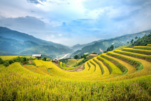 Descrição da imagem 3